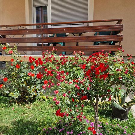 Guesthouse Irac Tuzla Bagian luar foto